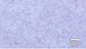 Screenshot 2023-08-29 at 3.25.51 PM