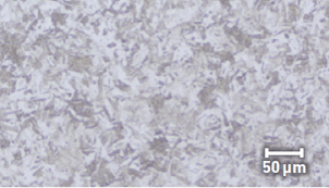 Screenshot 2023-08-29 at 3.26.02 PM