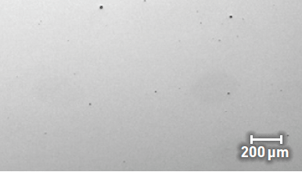 Screenshot 2023-08-29 at 2.47.54 PM