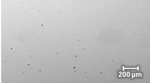 Screenshot 2023-08-29 at 2.47.59 PM