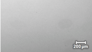 Screenshot 2023-08-29 at 2.48.05 PM