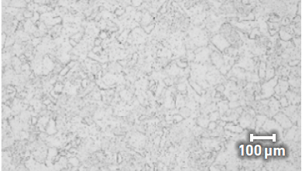 Screenshot 2023-08-29 at 2.48.40 PM