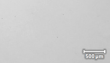 Screenshot 2023-08-29 at 10.50.29 AM Screenshot 2023-08-29 at 10.50.29 AM