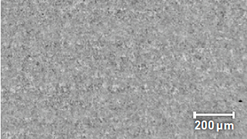 Screenshot 2023-08-29 at 10.51.46 AM Screenshot 2023-08-29 at 10.51.46 AM